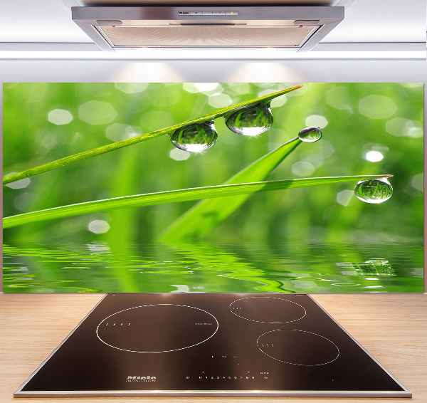 Panel do kuchni Krople na trawie