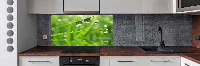 Glazen achterwand keuken Druppels op het gras