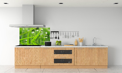 Glazen achterwand keuken Druppels op het gras