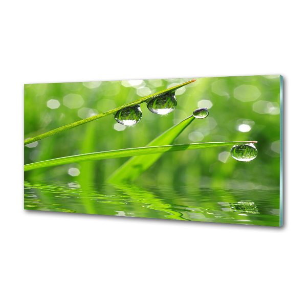 Panel do kuchni Krople na trawie