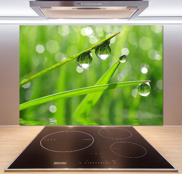 Glazen achterwand keuken Druppels op het gras