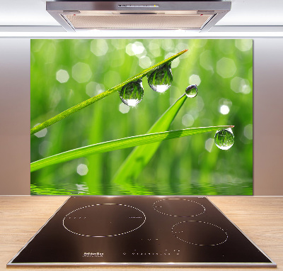 Glazen achterwand keuken Druppels op het gras