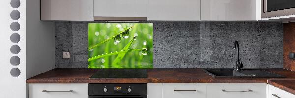 Glazen achterwand keuken Druppels op het gras