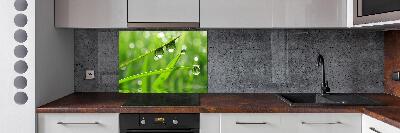 Glazen achterwand keuken Druppels op het gras