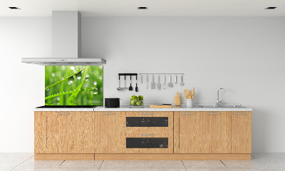 Glazen achterwand keuken Druppels op het gras
