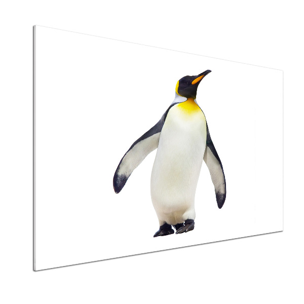 Glazen achterwand keuken Pinguïn