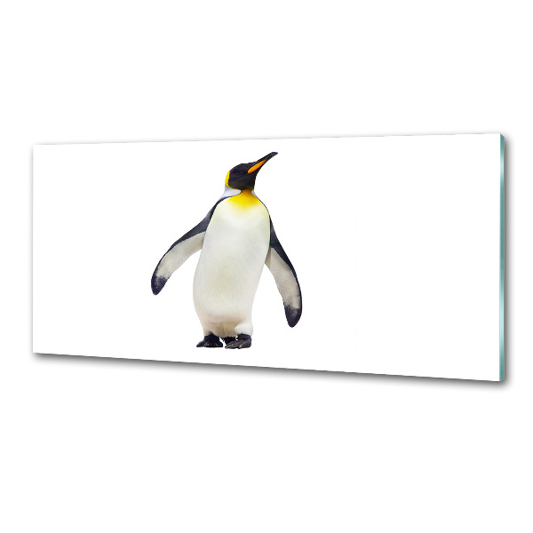 Glazen achterwand keuken Pinguïn