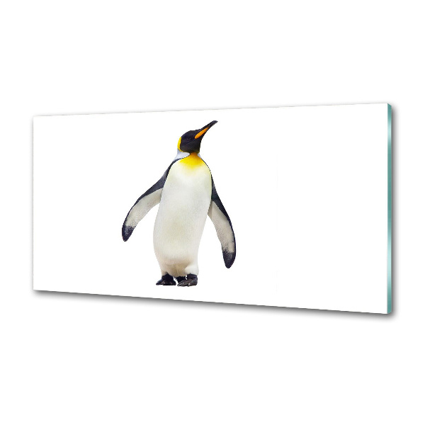 Glazen achterwand keuken Pinguïn