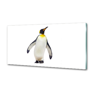 Glazen achterwand keuken Pinguïn