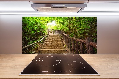 Spatscherm keuken Trappen in het bos