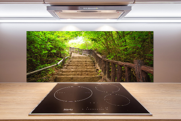 Spatscherm keuken Trappen in het bos