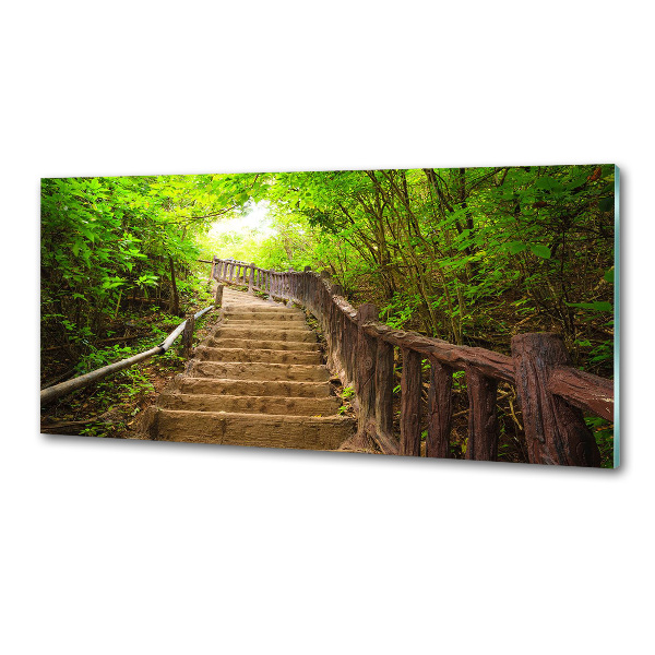 Spatscherm keuken Trappen in het bos