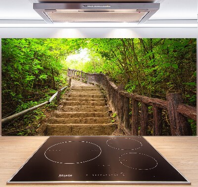 Spatscherm keuken Trappen in het bos