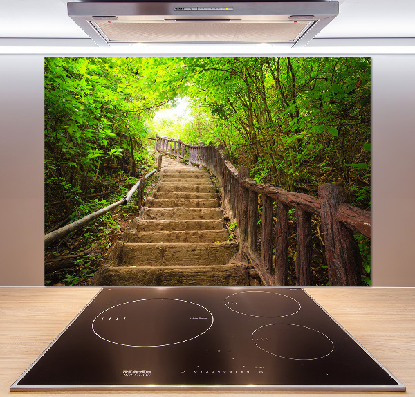 Spatscherm keuken Trappen in het bos