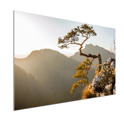 Panel do kuchni Sokolica Pieniny