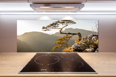 Panel do kuchni Sokolica Pieniny