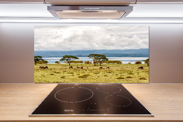 Achterwand keuken Naivasha-meer