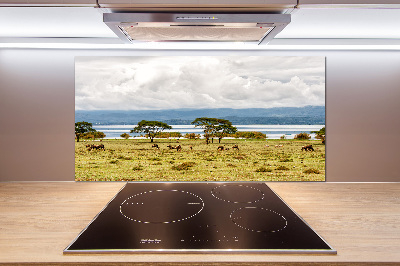 Achterwand keuken Naivasha-meer