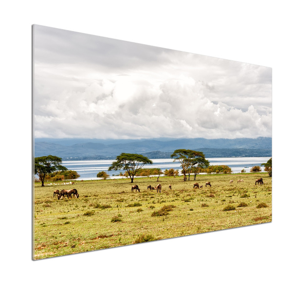 Achterwand keuken Naivasha-meer