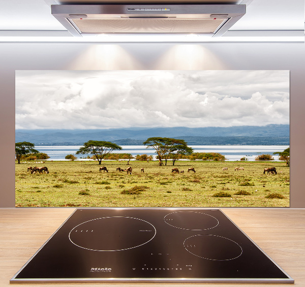 Achterwand keuken Naivasha-meer