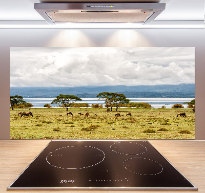 Achterwand keuken Naivasha-meer