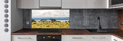 Achterwand keuken Naivasha-meer