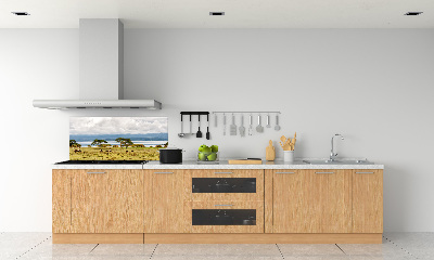 Achterwand keuken Naivasha-meer