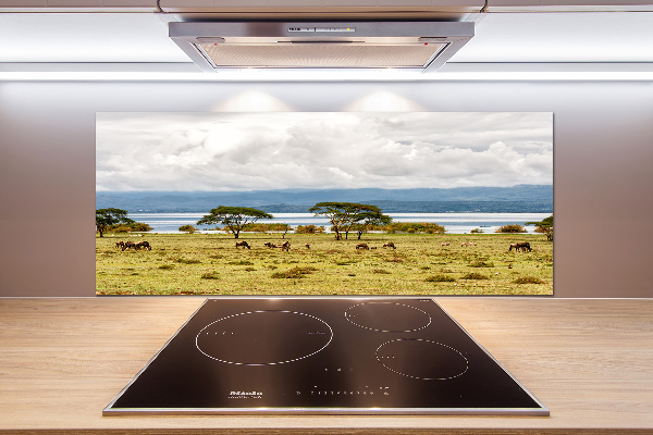 Panel do kuchni Jezioro Naivasha