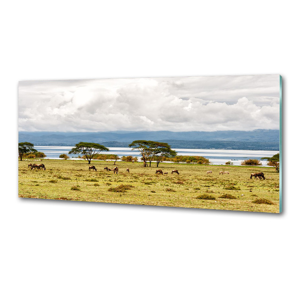 Achterwand keuken Naivasha-meer