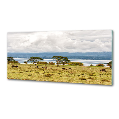 Achterwand keuken Naivasha-meer