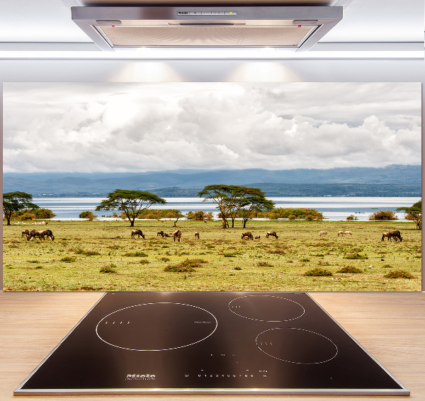 Achterwand keuken Naivasha-meer