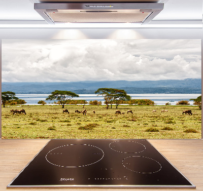 Achterwand keuken Naivasha-meer