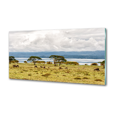 Achterwand keuken Naivasha-meer