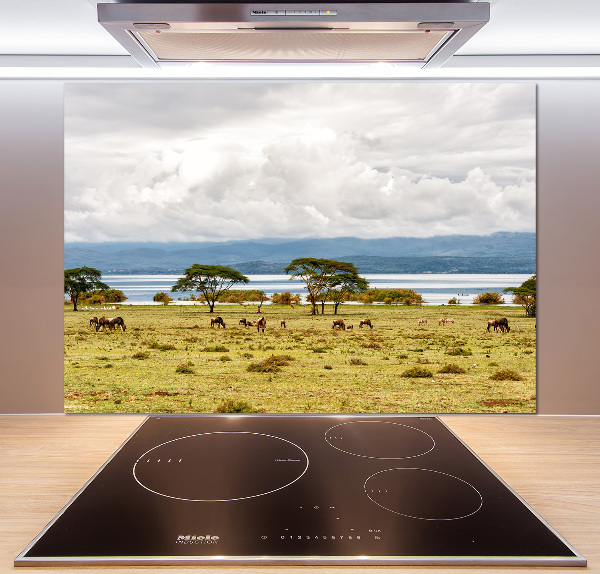 Achterwand keuken Naivasha-meer