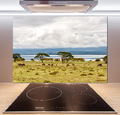 Achterwand keuken Naivasha-meer