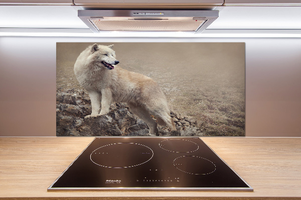 Spatscherm keuken Witte wolf op een rots