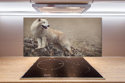 Spatscherm keuken Witte wolf op een rots