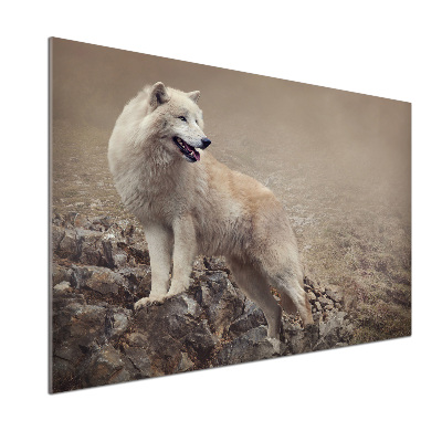 Spatscherm keuken Witte wolf op een rots