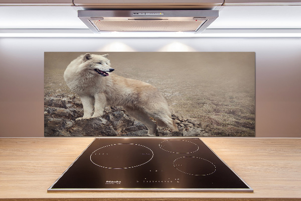 Spatscherm keuken Witte wolf op een rots