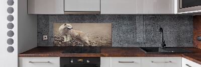 Spatscherm keuken Witte wolf op een rots