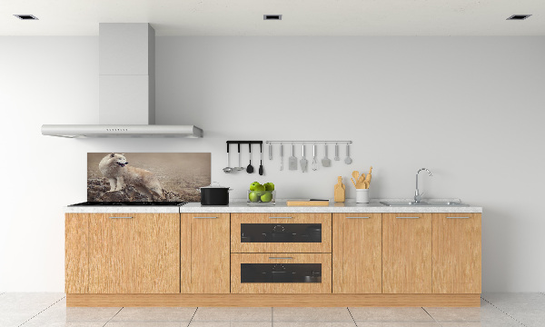 Spatscherm keuken Witte wolf op een rots