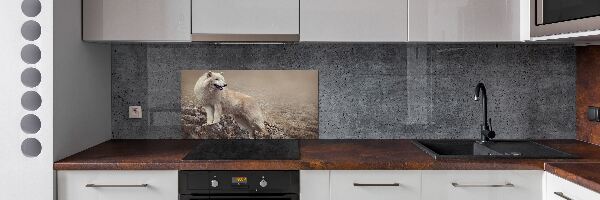 Spatscherm keuken Witte wolf op een rots