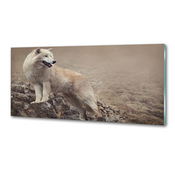 Spatscherm keuken Witte wolf op een rots