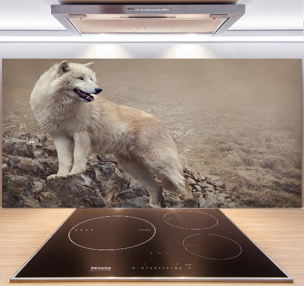 Spatscherm keuken Witte wolf op een rots