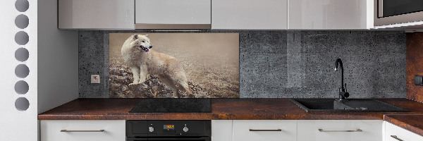 Spatscherm keuken Witte wolf op een rots