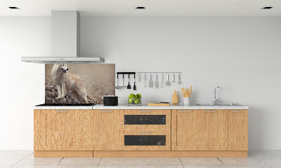Spatscherm keuken Witte wolf op een rots