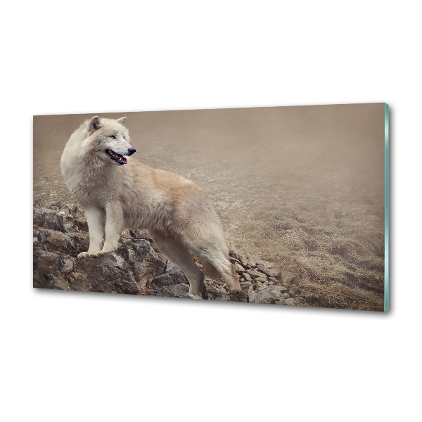 Spatscherm keuken Witte wolf op een rots