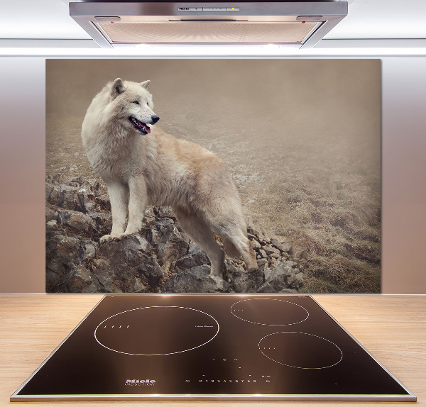 Spatscherm keuken Witte wolf op een rots