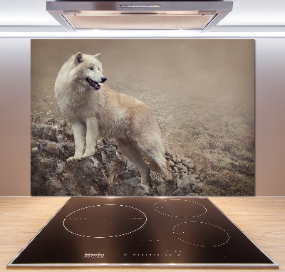 Spatscherm keuken Witte wolf op een rots