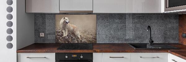 Spatscherm keuken Witte wolf op een rots